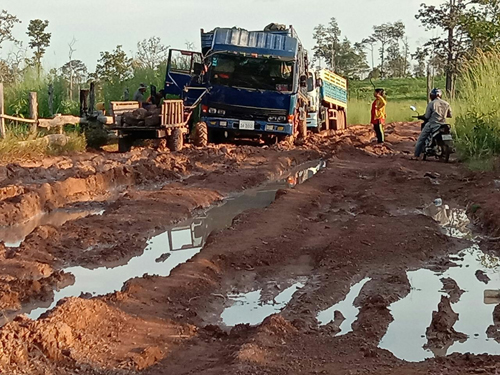 មេឈ្មួញ​ឈើជើងខ្លាំង​ សឹង សំអុ​លបន្តកាប់បំ​ផ្លាញព្រៃ​ឈើខេត្តមណ្ឌល​គិរីសមត្ថកិច្ច​ខេត្ត​មិនហ៊ានប​ង្រ្កាប​​ព្រោះជាឆ្នាំ​ងបា​យ