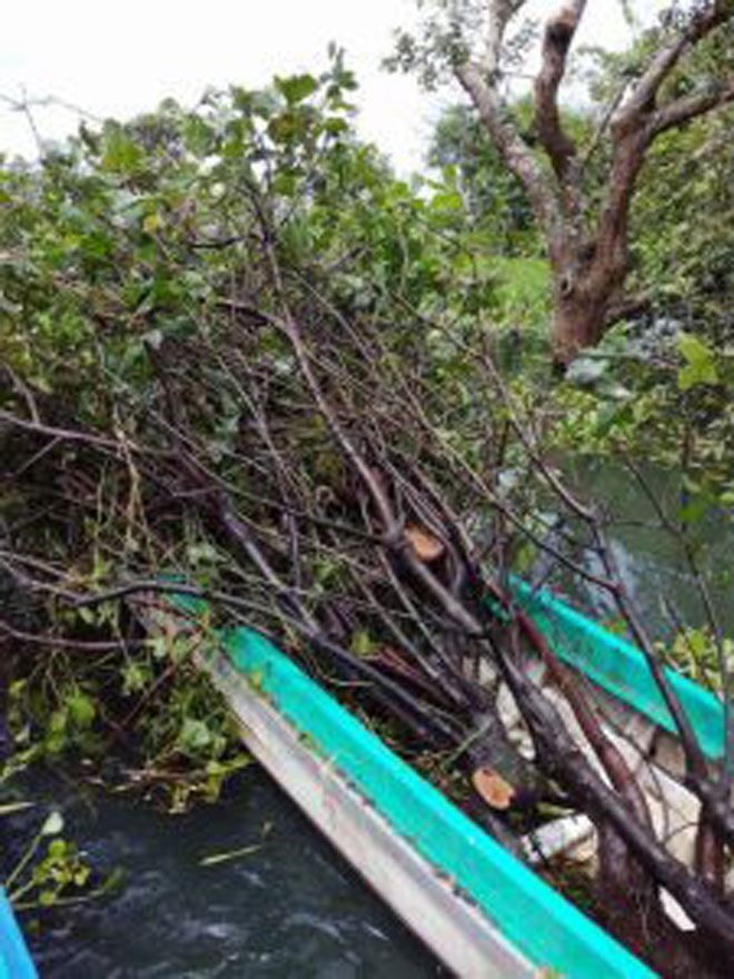 លោក​លីឡា​ជាមេខ្លោង​នៅពីក្រោ​យបទ​ល្មើសរ​បាំងលបនិ​ងបទល្មើស​ហ៊ុំសម្រា​ស់នៅស្រុ​កកំ​ពង់លែ​ង